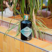 Hendrick's Orbium
