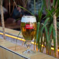 Stella Artois